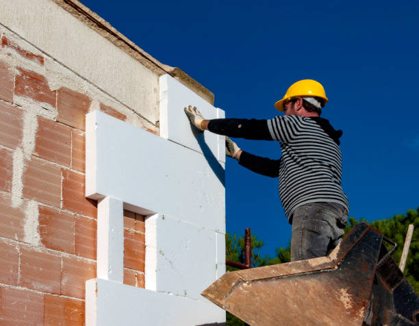 Best Spray Foam Insulation  in Wren, AR