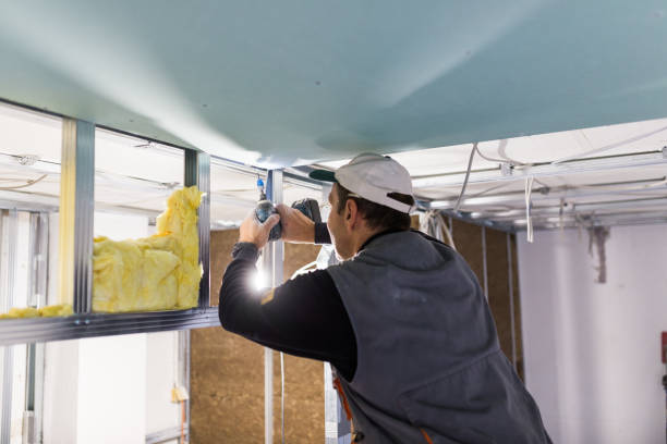 Best Wall Insulation Contractor  in Wren, AR