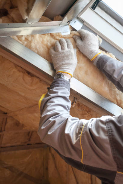 Insulation Repair Services in Warren, AR