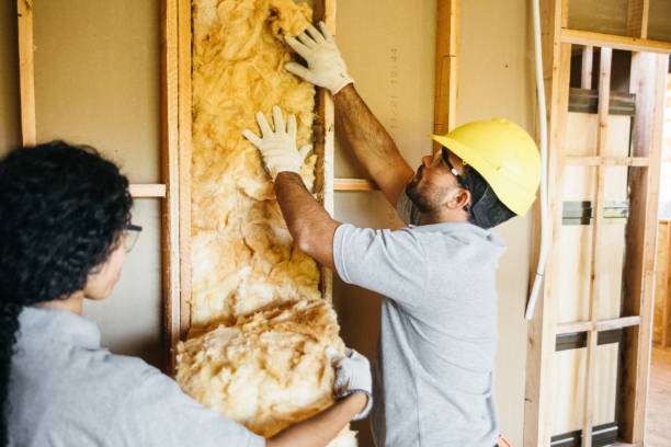 Best Cellulose Insulation  in Wren, AR