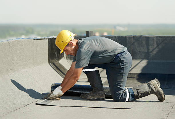 Professional Insulation Contractor in Warren, AR