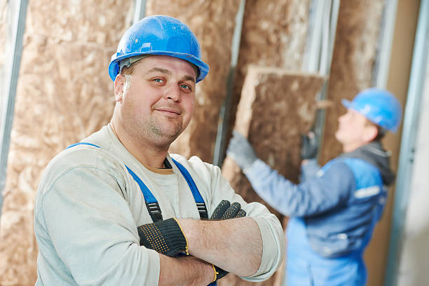 Best Crawl Space Insulation  in Wren, AR