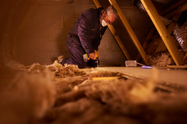 Best Insulation Inspection Services  in Wren, AR
