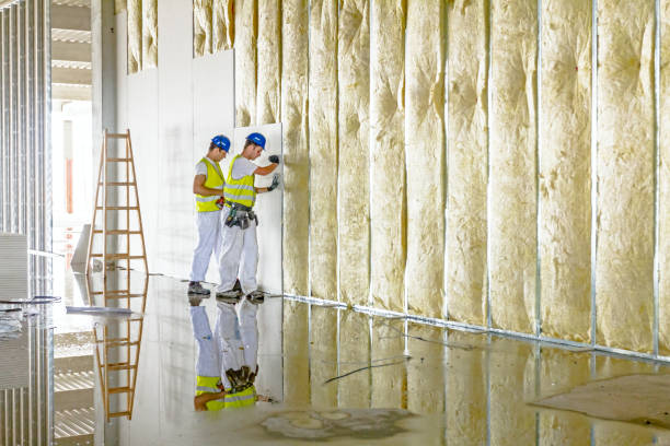 Best Spray Foam Insulation  in Wren, AR